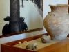 Particolare del Museo Archeologico di Offida