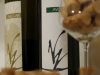 Zaccarì e Avora due vini dell'Azienda Vigneti Vallorani a Colli del Tronto